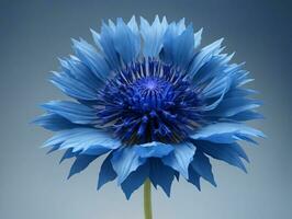 ein schließen oben von ein Blau Blume auf ein grau Hintergrund. ai generiert foto