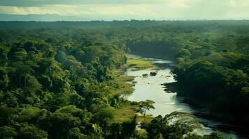 Wald Regen tropisch Landschaft ai generiert foto