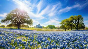 schön Texas Bluebonnets Bluebonnet ai generiert foto