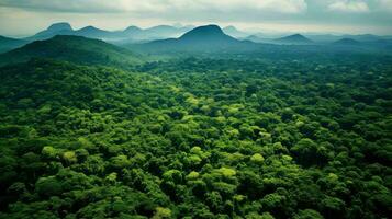 Natur nicaraguanisch Regenwald Regenwald ai generiert foto