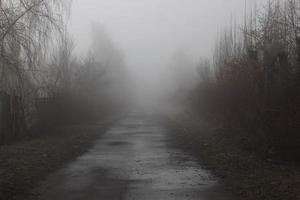 menschenleerer weg im nebel. der Weg ins Unbekannte. mystische Landschaft. foto