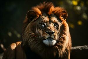 Löwe König isoliert auf schwarz. ai generiert foto