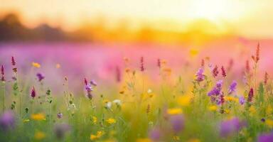 Wiese beim Sonnenuntergang. flach Tiefe von Feld. abstrakt Sommer- Natur Hintergrund. ai generativ foto