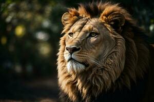 Löwe König isoliert auf schwarz. ai generiert foto