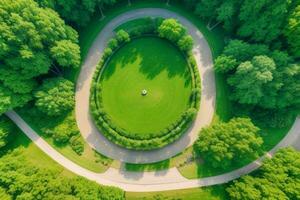 schön Landschaft Park mit Bäume und Sonne. bunt Laub im das Park. Profi Foto