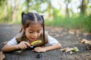 ein wenig asiatisch Mädchen mit ein Lupe zu Studie ein Hirsch Käfer im ein Park. foto