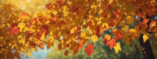 Herbst bunt hell Blätter schwingen im ein Baum im herbstlich Park. Herbst bunt Hintergrund, fallen Hintergrund. ai generiert foto