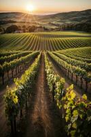 Weinberge beim Sonnenuntergang. ai generiert foto