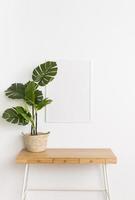 Zierpflanze mit leerem Rahmen foto