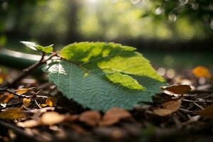 Blatt. ai generiert foto