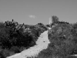 das Insel von gozo foto