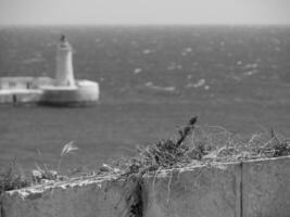 das Insel von Malta foto