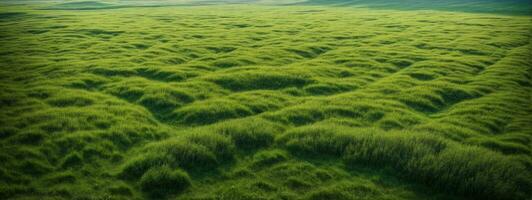 üppig Grün Gras Wiese Hintergrund. ai generiert foto