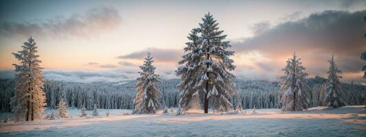 Kiefer Bäume bedeckt mit Schnee auf eisig Abend. schön Winter Panorama. ai generiert foto