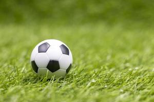 Fußball auf grünem Grashintergrund foto