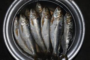 Fischbestand im Laden zu verkaufen foto