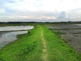 natürliche Aussicht auf das Dorf mit Straße foto