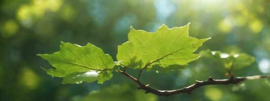 Blatt. ai generiert foto