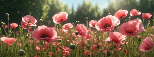 Sommer- Wiese mit rot Mohn. ai generiert foto