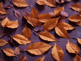 Muster von trocken Orange metallisch Blätter auf violett Hintergrund. ai generiert foto