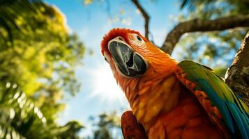 Foto von Papagei im ther Wald mit Blau Himmel. generativ ai