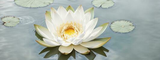 Zen Blume Lotus im Wasser. ai generiert foto