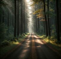 Straße im dunkel Wald, Sonnenlicht, üppig Grün und Gras. ai generiert foto