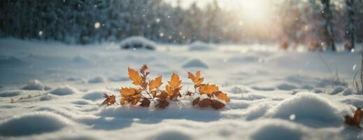 Winter Raum von Schnee. ai generiert foto