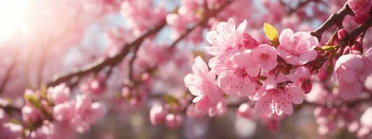 Frühling Rand oder Hintergrund Kunst mit Rosa Blüte. schön Natur Szene mit Blühen Baum und Sonne aufflackern. ai generiert foto