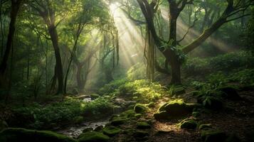 generativ ai, Wald Wunder Fokus auf das ätherisch Schönheit von Wälder foto