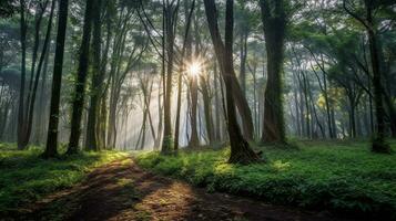 generativ ai, Wald Wunder Fokus auf das ätherisch Schönheit von Wälder foto