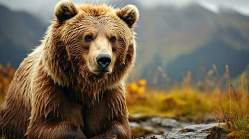majestätisch Grizzly Bär wandernd im das zauberhaft Wald foto