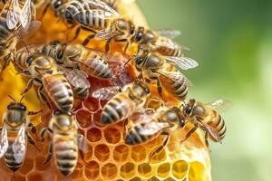 Honig Bienen auf Bienenwabe im Bienenhaus im Sommer, Honig Bienen kommunizieren mit jeder andere, ai generativ foto