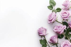 schließen oben von Blühen Rosa Rosen Blumen und Blütenblätter isoliert auf Weiß Tabelle Hintergrund. Blumen- Rahmen Komposition. dekorativ Netz Banner. leeren Raum, eben legen, oben Sicht. ai generativ foto