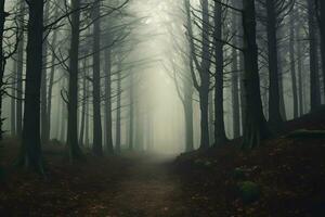 ein nebelig Wald mit Bäume und Blätter auf das Boden. ai generiert. foto