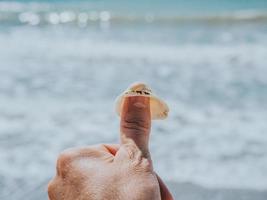 Muschel an einer männlichen Hand an einem Finger foto