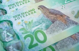 schließen oben von Neu Neuseeland Banknote 20 Dollar. foto