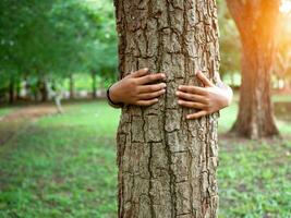 Mensch Hände sind umarmen ein Baum im Liebe. Darstellen Portion zu erhalten das Umfeld. Konzept von Speichern das Welt. foto