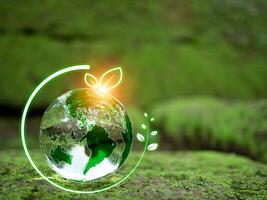 Kristall Ball auf Moos im Grün Wald. Umgebung Konzept Ökologie und nachhaltig Umgebung von das Welt. Erde Tag Konzept. foto