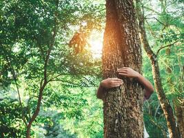 Mensch Hände sind umarmen ein Baum im Liebe. Darstellen Portion zu erhalten das Umfeld. Konzept von Speichern das Welt. foto