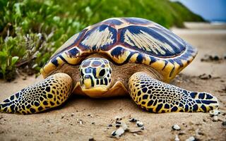 Enthüllung der Natur Meisterwerk, das exquisit Feinheiten von ein Meer Schildkröten Schale im atemberaubend Detail. ai generiert foto