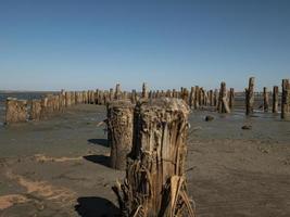 Holzpoller im Sand gegen die Mündung und den blauen Himmel. Kuyalnitsky-Mündung foto