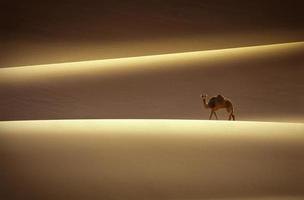 Tassili n'ajjer Wüste, Nationalpark, Algerien - Afrika foto