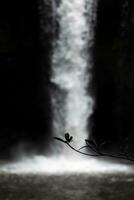 abstrakt Szene von silhouettiert Blätter mit verschwommen Wasserfall Innerhalb dunkel Höhle. foto