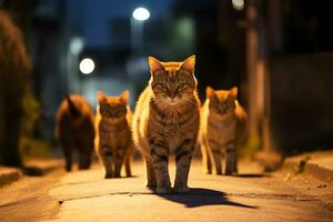 Katze auf das Straße streunend Katze generiert ai foto