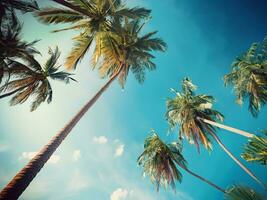 Blau Himmel und Palme Bäume Aussicht von unter, Jahrgang Stil, tropisch Strand und Sommer- Hintergrund, Reise Konzept. ai generativ. foto