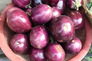 leckerer und gesunder violetter Brinjalfond foto