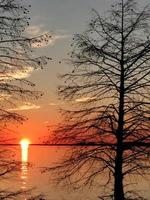 Monticello-Stausee in South Carolina bei Sonnenuntergang foto