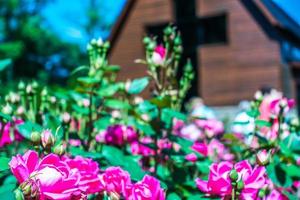 Charlotte, nc April 2019 - in der Billy Graham Public Library an einem sonnigen Tag sunny foto