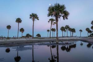 Szenen rund um die Jagdinsel South Carolina im Sommer foto